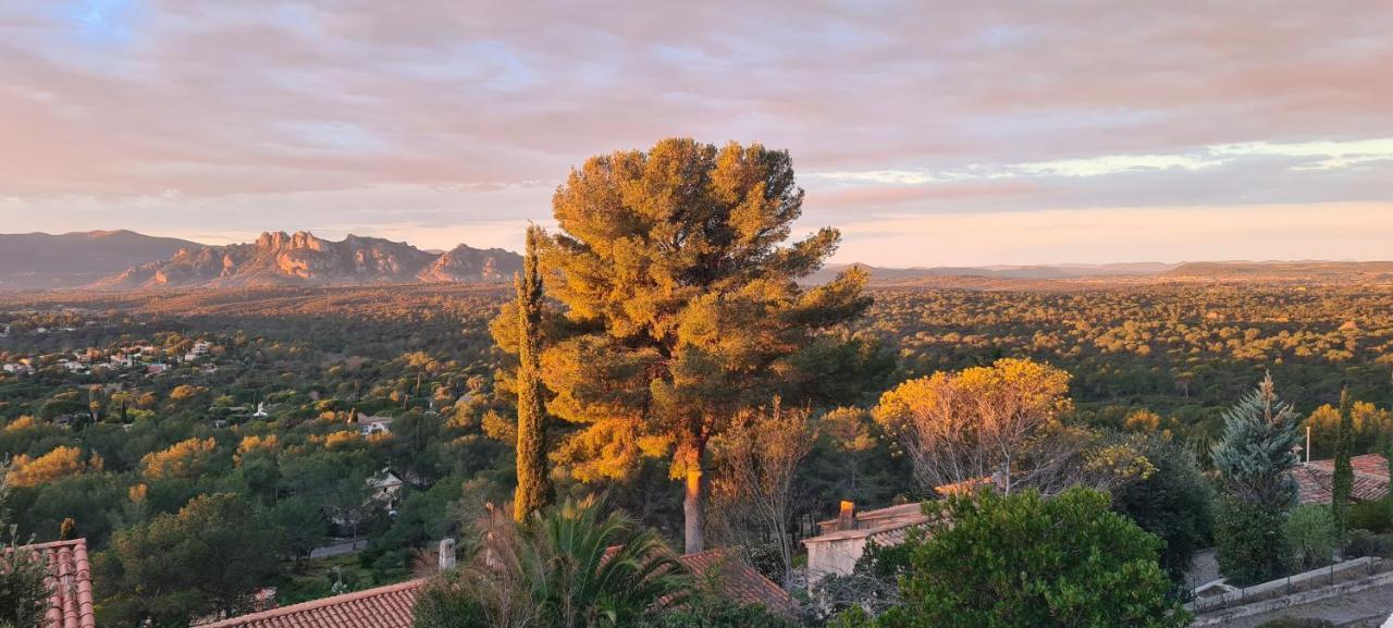 Corniche Du Paradis Roquebrune-sur Argens Εξωτερικό φωτογραφία